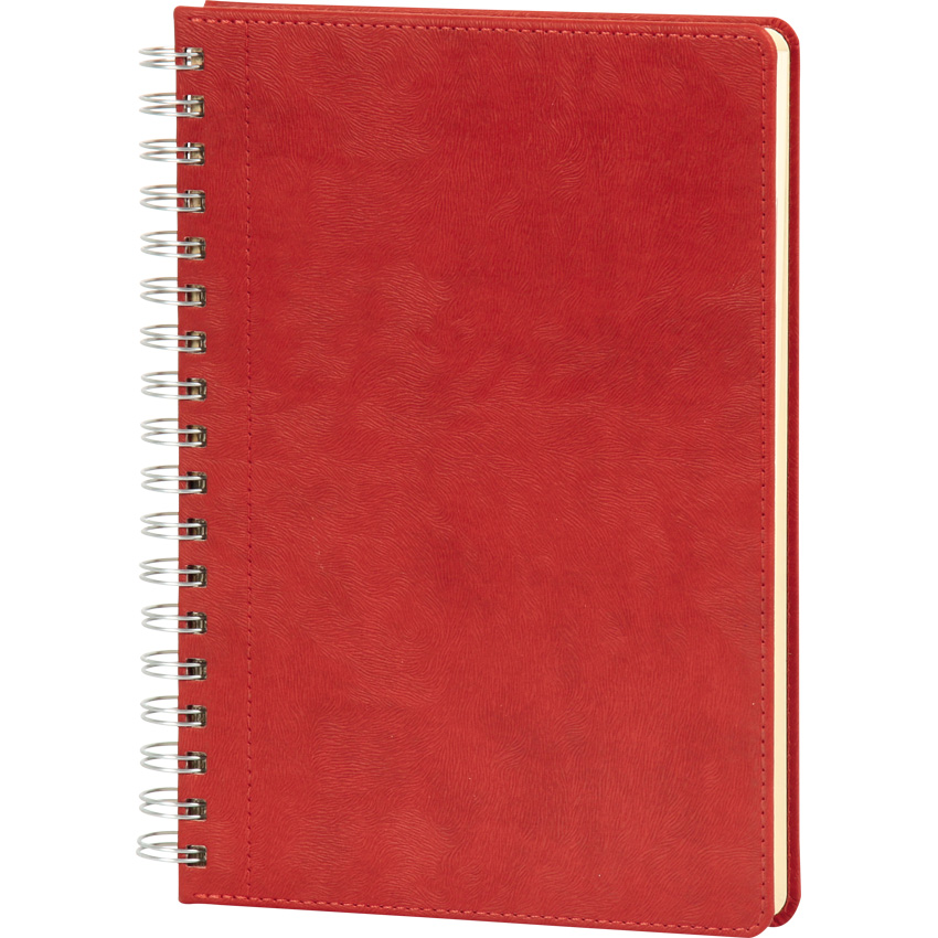 PT-151 Spiralli Tarihsiz KARELİ Defter 20x28 cm - Görsel 3